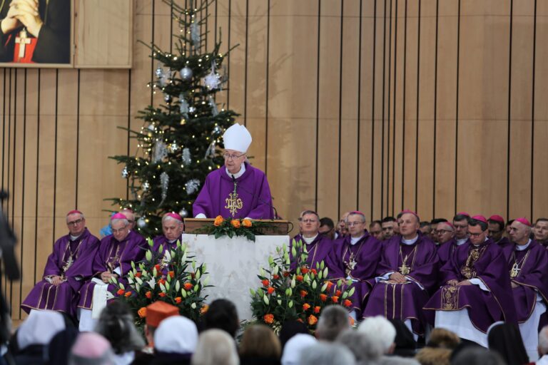 52613116365_d96aed80b5_o