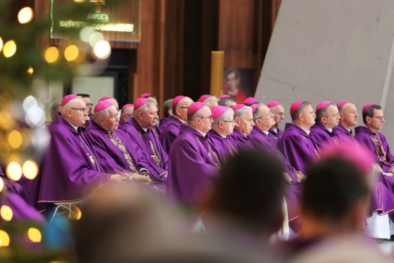 52613116615_1da3417ebf_o