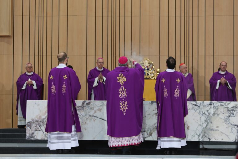 52613181693_cb770d560a_o