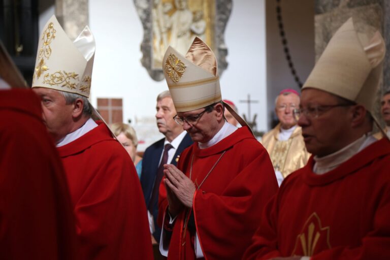 53784148267_89c7546e6d_o