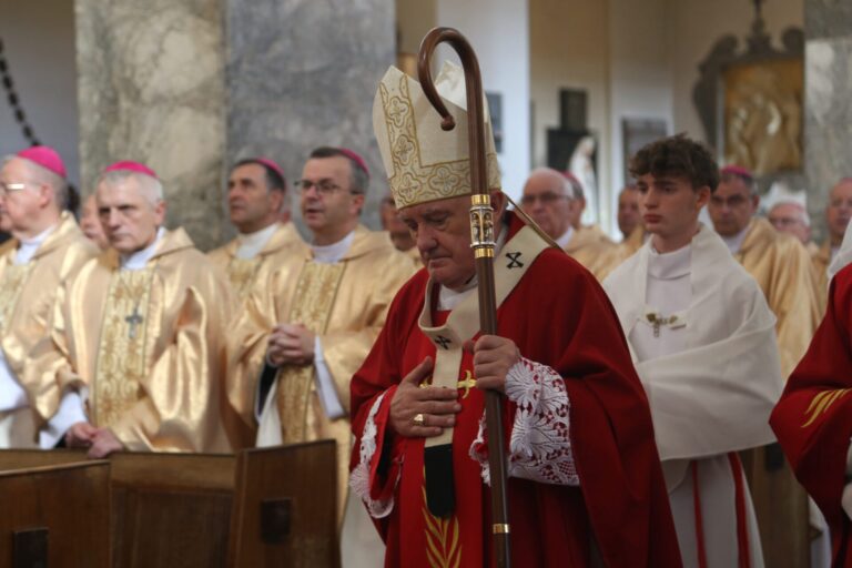 53785302973_0881ace21b_o (1)