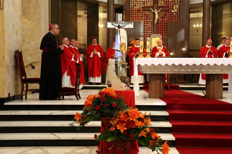 53785413074_db1ae1d074_o